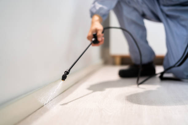 Licensed Termite Control service in Yale, MI - Nex Pest Control