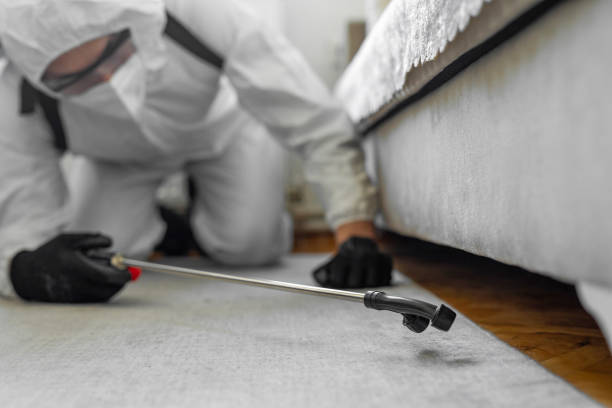 Professional Termite Control technician working in Yale, MI