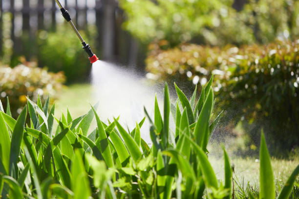 24/7 Emergency Termite Control experts in Yale, MI