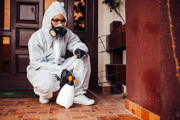 Reliable Termite Control contractor in Yale, MI by Nex Pest Control