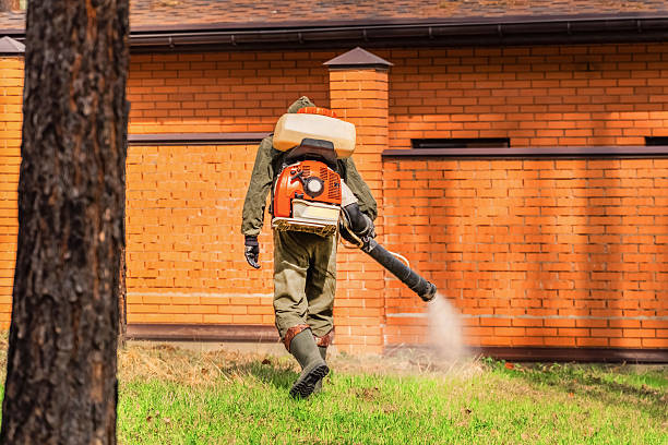 Top rated local Termite Control specialists in Yale, MI